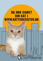 DuHarSikretDinKat