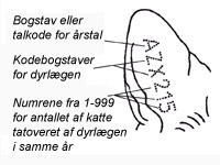 tidligere hastighed Mappe Registrering